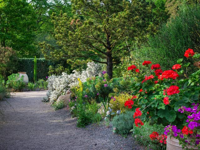 A Mediterranean garden at RHS Garden Rosemoor.