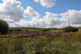 Northern Ireland’s electricity grid operator, SONI (System Operator for Northern Ireland), has announced the appointment of Nichola Mallon as its new head of corporate affairs. Credit SONI