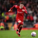 Liverpool's Conor Bradley returns to the Northern Ireland squad after missing all six Euro 2024 qualifiers in the autumn with a stress fracture in his back