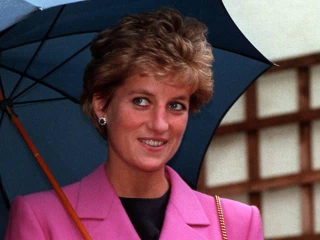 Diana, Princess of Wales showed "obvious ignorance of, or disregard for, constitutional niceties" in relation to Northern Ireland, according to a note from the Irish ambassador in 1993