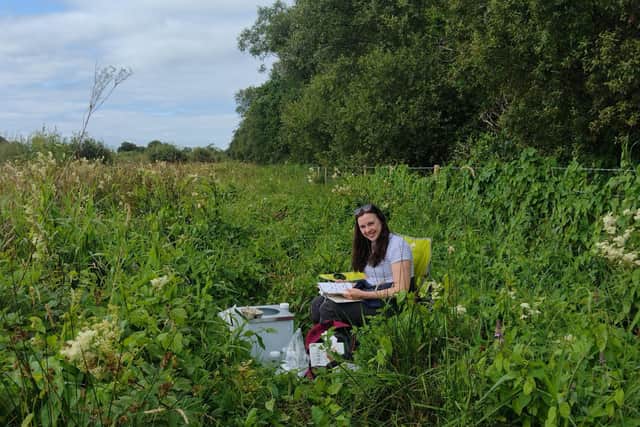 Lough Neagh ranger Ciara Laverty enjoying a summer morning's Moth trapping at Killycolpy