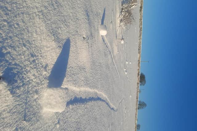 Photos of snow rollers in fields on Ivy Hill, Lisburn taken by Kenny Maze