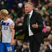 Northern Ireland manager Michael O'Neill during the loss to Finland in Belfast