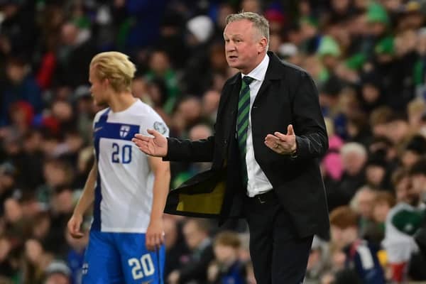 Northern Ireland manager Michael O'Neill during the loss to Finland in Belfast