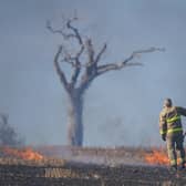 A firefighter tackles a blaze in a Co Down field made famous by the music star Rihanna. Picture date: Wednesday August 31, 2022.