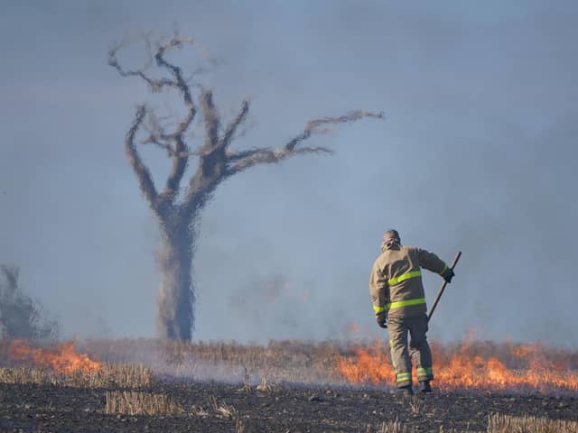 A firefighter tackles a blaze in a Co Down field made famous by the music star Rihanna. Picture date: Wednesday August 31, 2022.