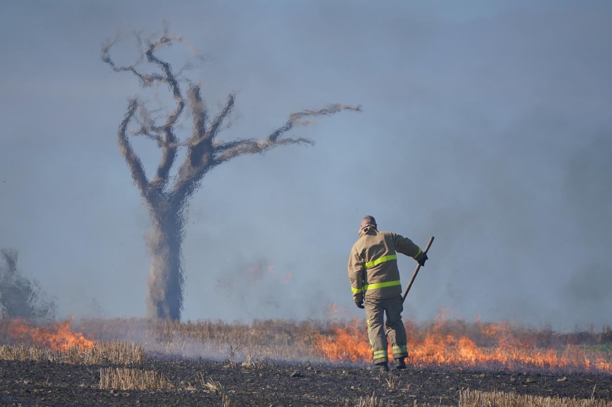 Firefighters battling blaze in Co Down barley field made famous by Rihanna