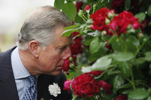 King Charles III sniffing a 'Highgrove' rose.