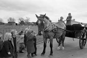Tyrella Primary School pupil Charlotte McAlinden pictured in November 1982 at the reins with her mum Kim waiting for Barney the horse to take them home. Mrs McAlinden picked up Charlotte from school every day in a pony and trip and helping to revive a long gone Ulster tradition. The six mile round trip from home to school took the McAlindens forty minutes – and Mrs McAlinden reckoned it was a much safe mode of transport than the school bus. She remarked: “Why do I do it? Because I have a pony – and I do not have a car. It’s the only way to travel – and you do not have to pay insurance, or tax or for petrol. It’s just nice to take your time, people rush about too much.” Picture: News Letter archives