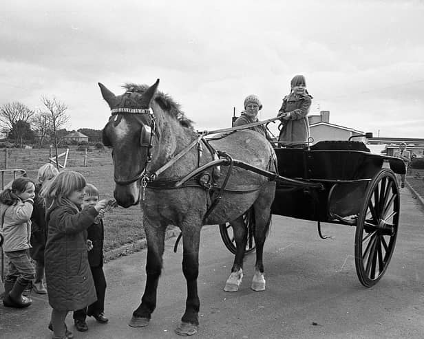 Tyrella Primary School pupil Charlotte McAlinden pictured in November 1982 at the reins with her mum Kim waiting for Barney the horse to take them home. Mrs McAlinden picked up Charlotte from school every day in a pony and trip and helping to revive a long gone Ulster tradition. The six mile round trip from home to school took the McAlindens forty minutes – and Mrs McAlinden reckoned it was a much safe mode of transport than the school bus. She remarked: “Why do I do it? Because I have a pony – and I do not have a car. It’s the only way to travel – and you do not have to pay insurance, or tax or for petrol. It’s just nice to take your time, people rush about too much.” Picture: News Letter archives