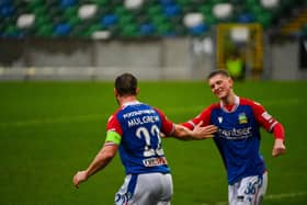 Jamie Mulgrew celebrates his goal for Linfield against Newry City at Windsor Park