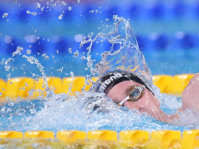 Team Ireland's Daniel Wiffen in the men's 800m freestyle heats at Qatar's World Aquatics Championships. (Photo by Adam Pretty/Getty Images)