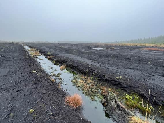Haughey's Bog, a former commercially harvested bog near Omagh, which is set to be transformed into a thriving hub for peatland restoration - the first of its kind in Northern Ireland. Photo: Ulster Wildlife /PA Wire