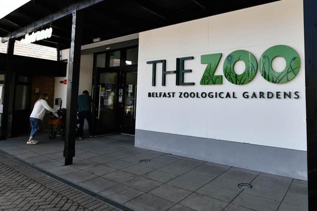 Belfast Zoo ticket prices could rise. Pic Colm Lenaghan/Pacemaker