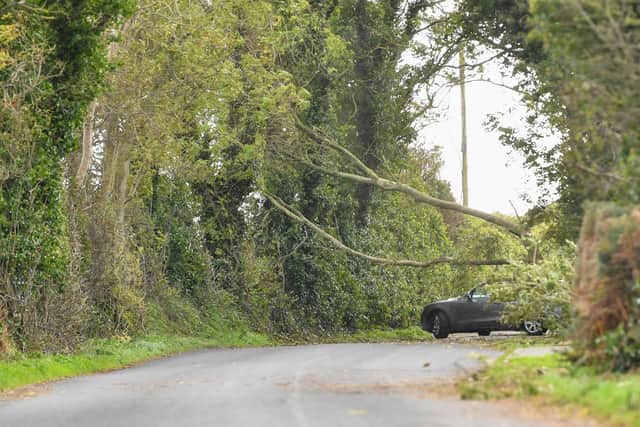 This was the scene on Springwell Road, Groomsport where a tree blocked the road.