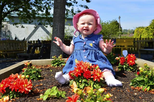 One year old Poppy Clarke pictured in the Carrickfergus, Sunnylands Community Garden next to the new chatty bench. Picture By:Arthur Allison/Pacemaker Press.