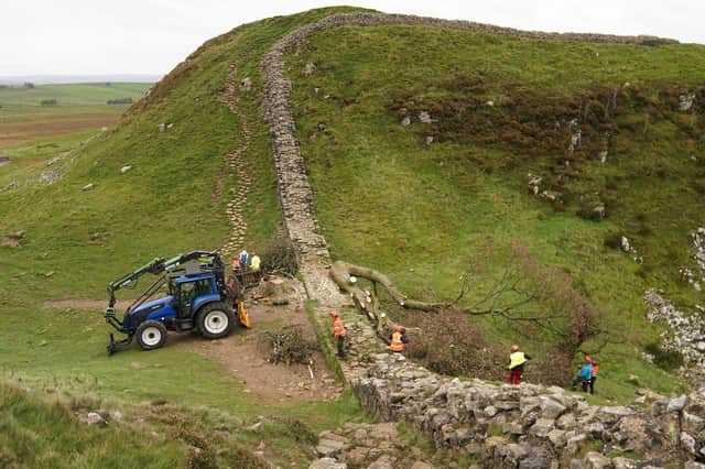 Work begins in the removal of the felled Sycamore Gap tree, on Hadrian's Wall in Northumberland. Picture: Owen Humphreys/PA Wire