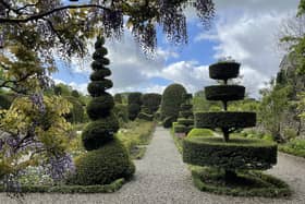 Topiary at Levens Hall Gardens.