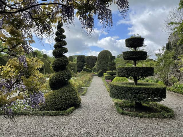 Topiary at Levens Hall Gardens.
