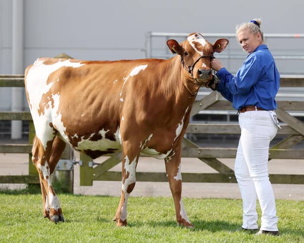 Day three of the Balmoral Show in partnership with Ulster Bank:The 155th Balmoral Show will takes place place over four days between 15th May to 18th May 2024 and thousands of people are expected to attend.Photo by Jonathan Porter/Press Eye