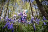 The Bluebell Festival in Portglenone profited from sunny weather on Saturday