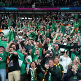 Ireland fans celebrate beating South Africa last month in France. ​If unionist fans withdraw support from Ireland it would demonstrate the injustice: Photo: Gareth Fuller/PA Wire
