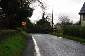 Tree down on Banbridge to Lurgan Road as a result of Storm Debi. Photo: Michael Cousins