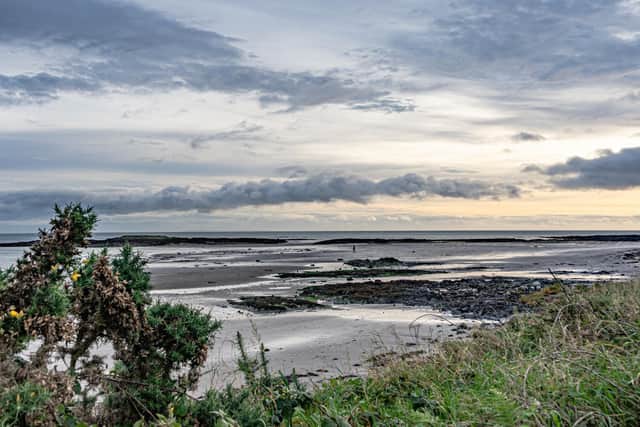 Day-trippers have been told to beware at Millisle Beach, as a two to three-week poison campaign to tackle a rat infestation began. Photo: Ards and North Down Council.