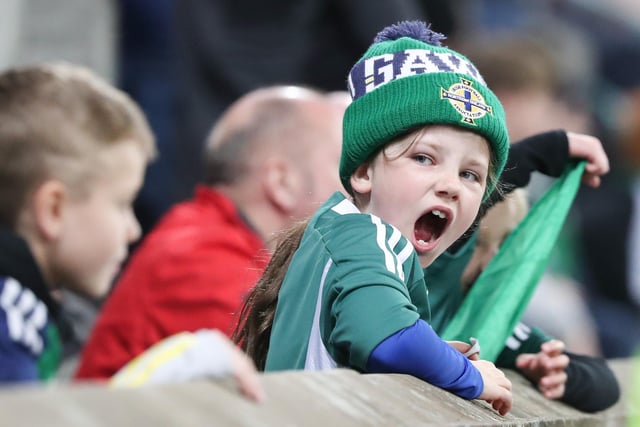 A young Northern Ireland fan cheers on the team against Slovenia at Windsor Park