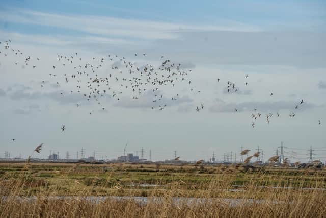 Northern Ireland's failure to publish its first environmental improvement plan before the July 25 deadline has been criticised by wildlife charity RSPB NI