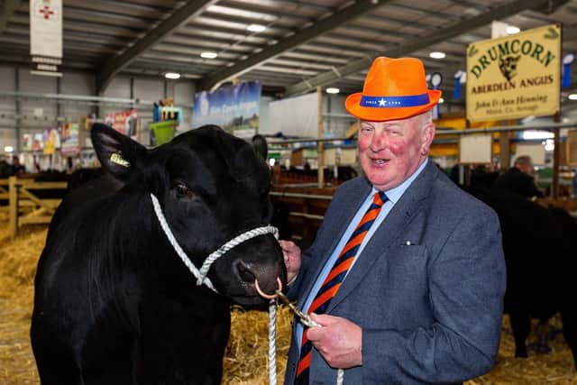 The Grand Master of the Grand Orange Lodge of Ireland, Edward Stevenson, pictured with Drumcorn Aberdeen Angus Bull ‘Lord Izzy’ at the first day of the 2023 Balmoral Show.