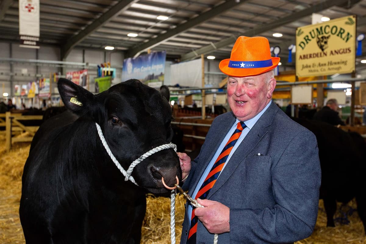 Orange Order delighted to be able to reach wider audience at Balmoral Show