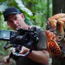 Cameraman filming a Coconut Crab on Christmas Island in the Indian Ocean