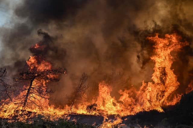 Wildfires burn the forests near the village of Vati, just north of the coastal town of Gennadi, in the southern part of the Greek island of Rhodes, on July 25, 2023. Photo by SPYROS BAKALIS/AFP via Getty Images