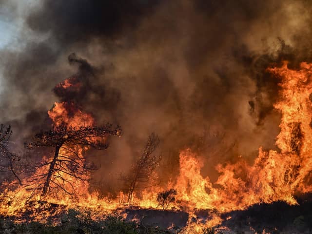 Wildfires burn the forests near the village of Vati, just north of the coastal town of Gennadi, in the southern part of the Greek island of Rhodes, on July 25, 2023. Photo by SPYROS BAKALIS/AFP via Getty Images