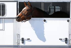 A general view of a horsebox (Photo by Jim Urquhart/Getty Images)