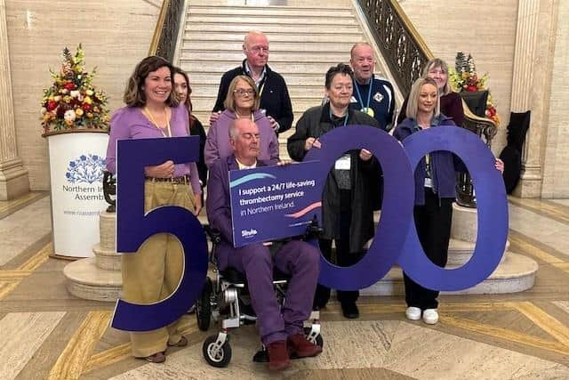 Stroke survivors and healthcare professionals gather at Stormont to call for the delivery of 24/7 thrombectomy services
