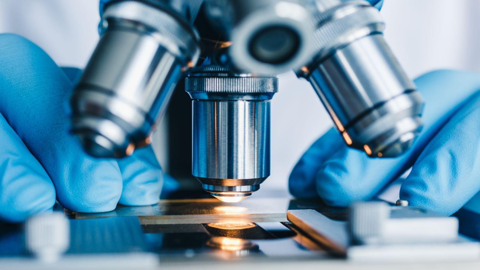 Belfast project builds on previous work and will involve antibody production and cryogenic electron microscopy