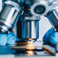 'We look forward to continuing our work together': Northern Ireland biotech firm secures £85,000 project with US pharmaceutical giant