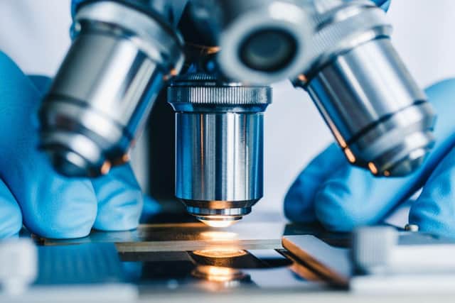 Fusion Antibodies, which specialises in antibody discovery, engineering and supply for drug development and diagnostic applications, has been awarded a project involving the production and analysis of a lead antibody. (Image credit: Adobe Stock)