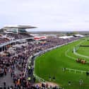 The Grand National is set to take place on Saturday, April 13 with a reduced number of runners