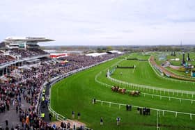 The Grand National is set to take place on Saturday, April 13 with a reduced number of runners
