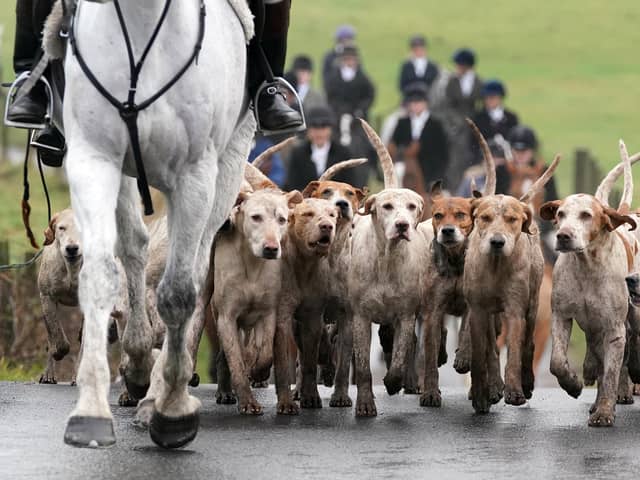 Hunting foxes with dogs is still legal in Northern Ireland - but the Alliance Party want it banned. Tom Elliott says that the Alliance-run DAERA should review animal welfare legislation to regulate the practice.