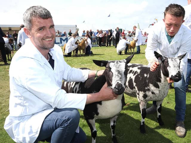 Exhibitors at the show this year enjoyed displaying their best livestock in the beginning of the summer weather.
