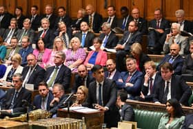 Prime Minister Rishi Sunak speaking in the House of Commons on Wednesday. His government replaced eurosceptic Tory committee members so he could pass his NI parcel rules under the Windsor Framework. Picture: UK Parliament/Jessica Taylor/PA Wire