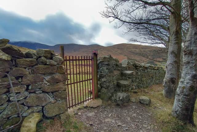 Noel Elkin's 'gate to the land of Narnia' in the Mournes
