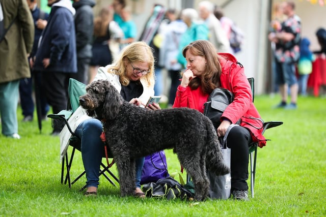 People attending the Belfast Mela Festival at Botanic Gardens