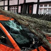 A tree branch fallen on a car on Lisburn Road in Belfast during Storm Isha. Picture date: Sunday January 21, 2024. Photo: Liam McBurney/PA Wire