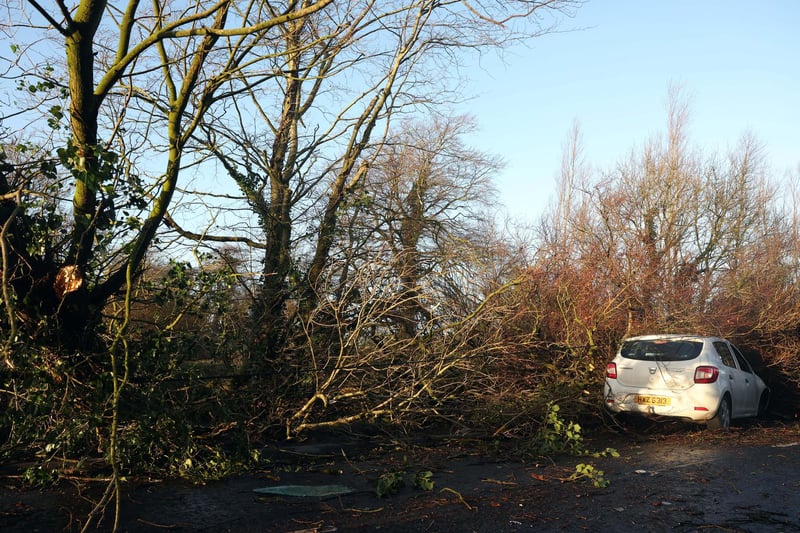 Storm Isha, Electricity outages, blocked roads and school closures as disruption caused across NI.