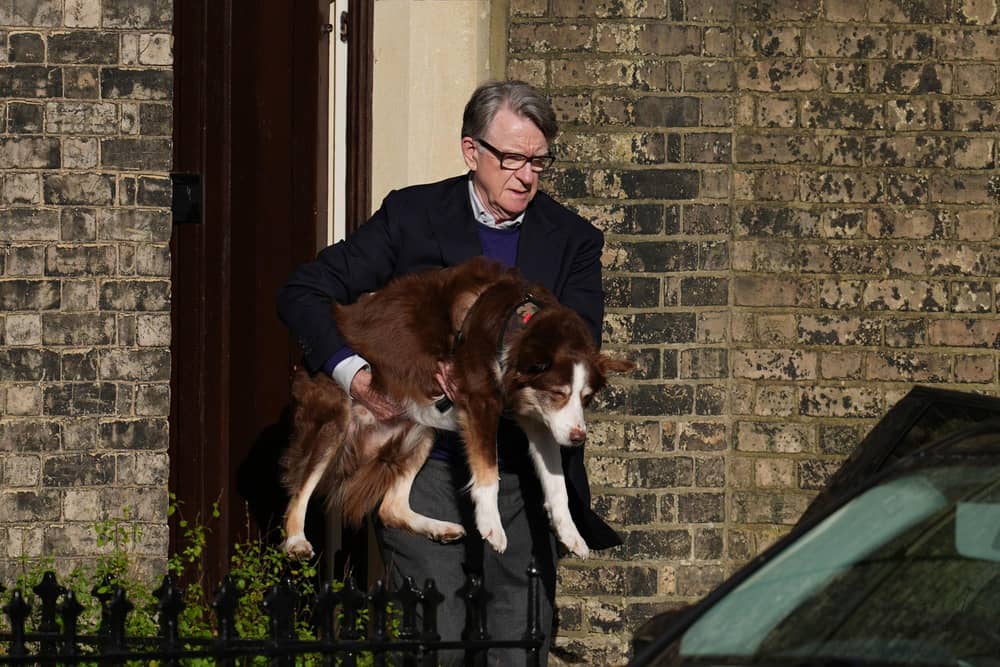 Lord (Peter) Mandelson carrying his dog whilst leaving his home in north west London on Saturday. He has resigned from the Labour Party and quit the House of Lords since the latest tranche of Epstein Files was released in the US. Pic: Maja Smiejkowska/PA Wire